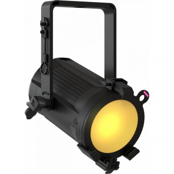 EclPar IPSFC